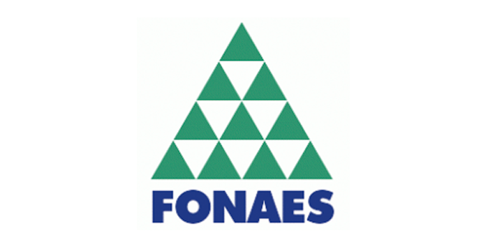 logo_fonaes