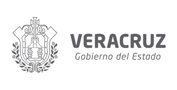 logo_veracruz